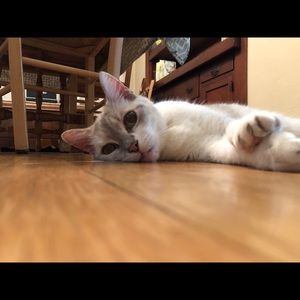 Meet your Posher, Jennifer